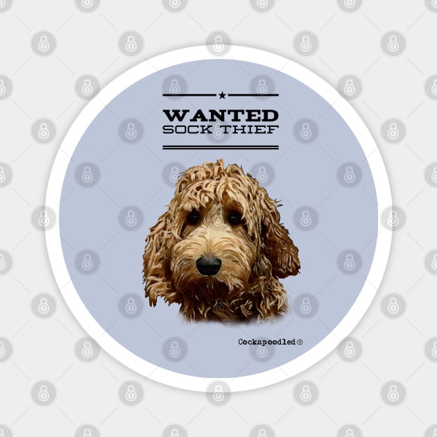 Cockapoo / Doodle Dog Sock Thief Magnet by WoofnDoodle 